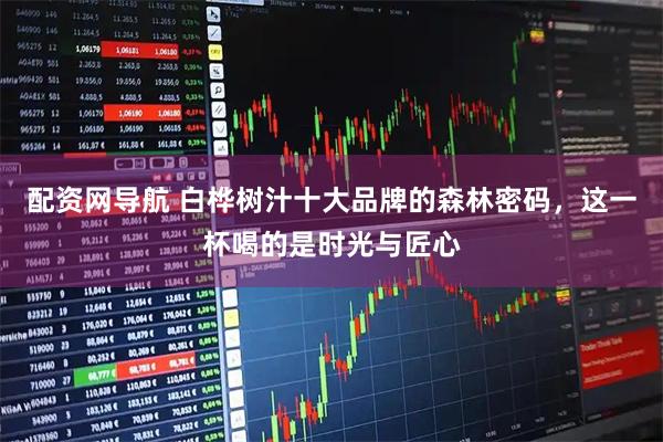 配资网导航 白桦树汁十大品牌的森林密码，这一杯喝的是时光与匠心